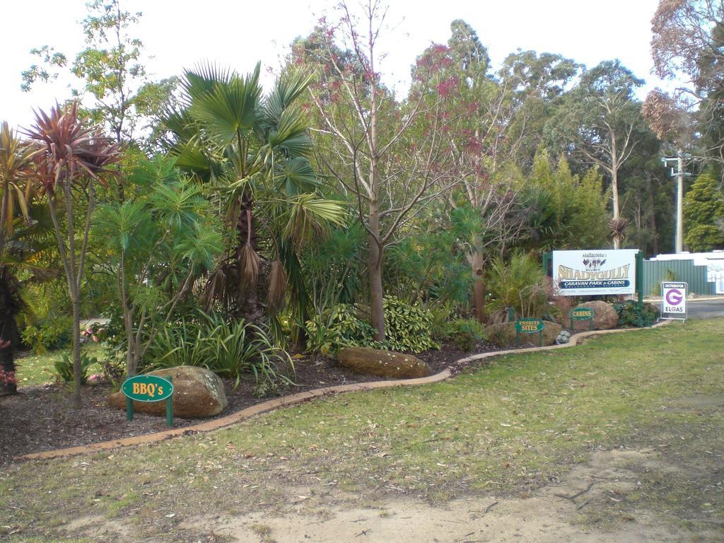 Mallacoota'S Shady Gully Caravan Park מראה חיצוני תמונה