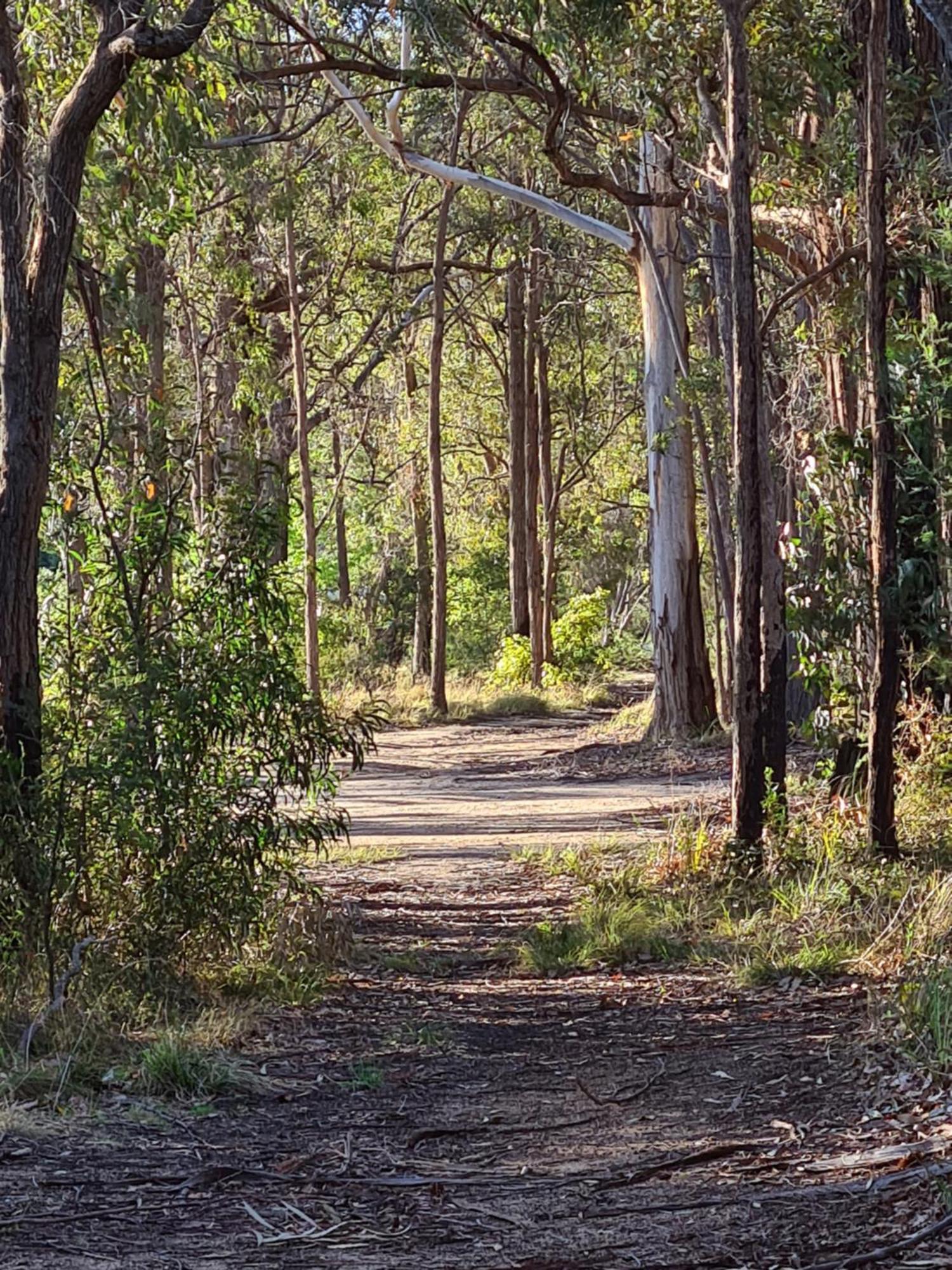 Mallacoota'S Shady Gully Caravan Park מראה חיצוני תמונה