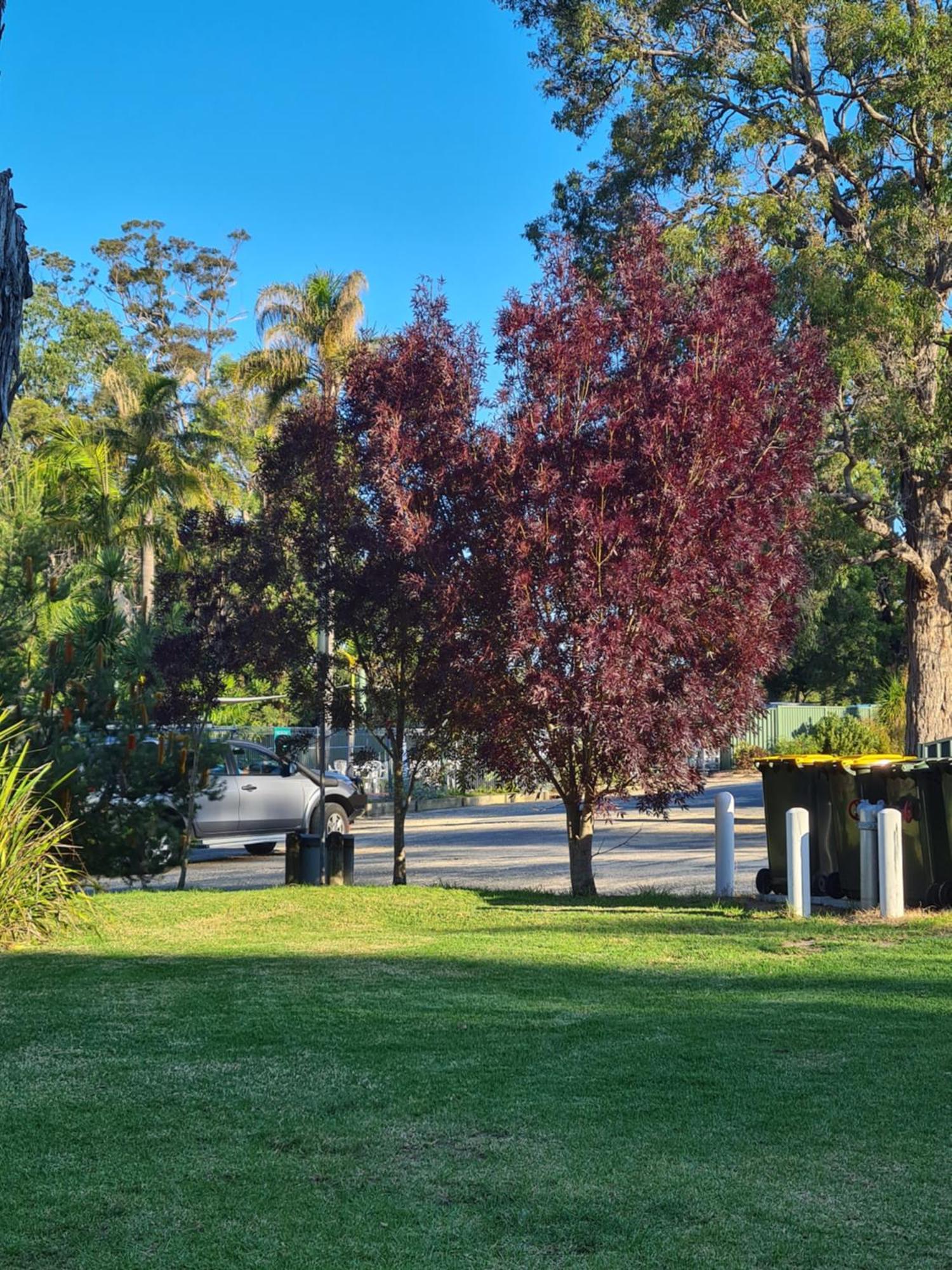 Mallacoota'S Shady Gully Caravan Park מראה חיצוני תמונה